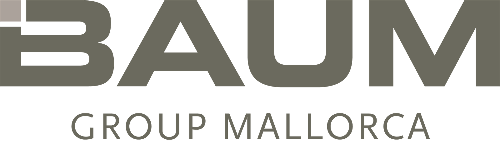 BAUM Group Mallorca